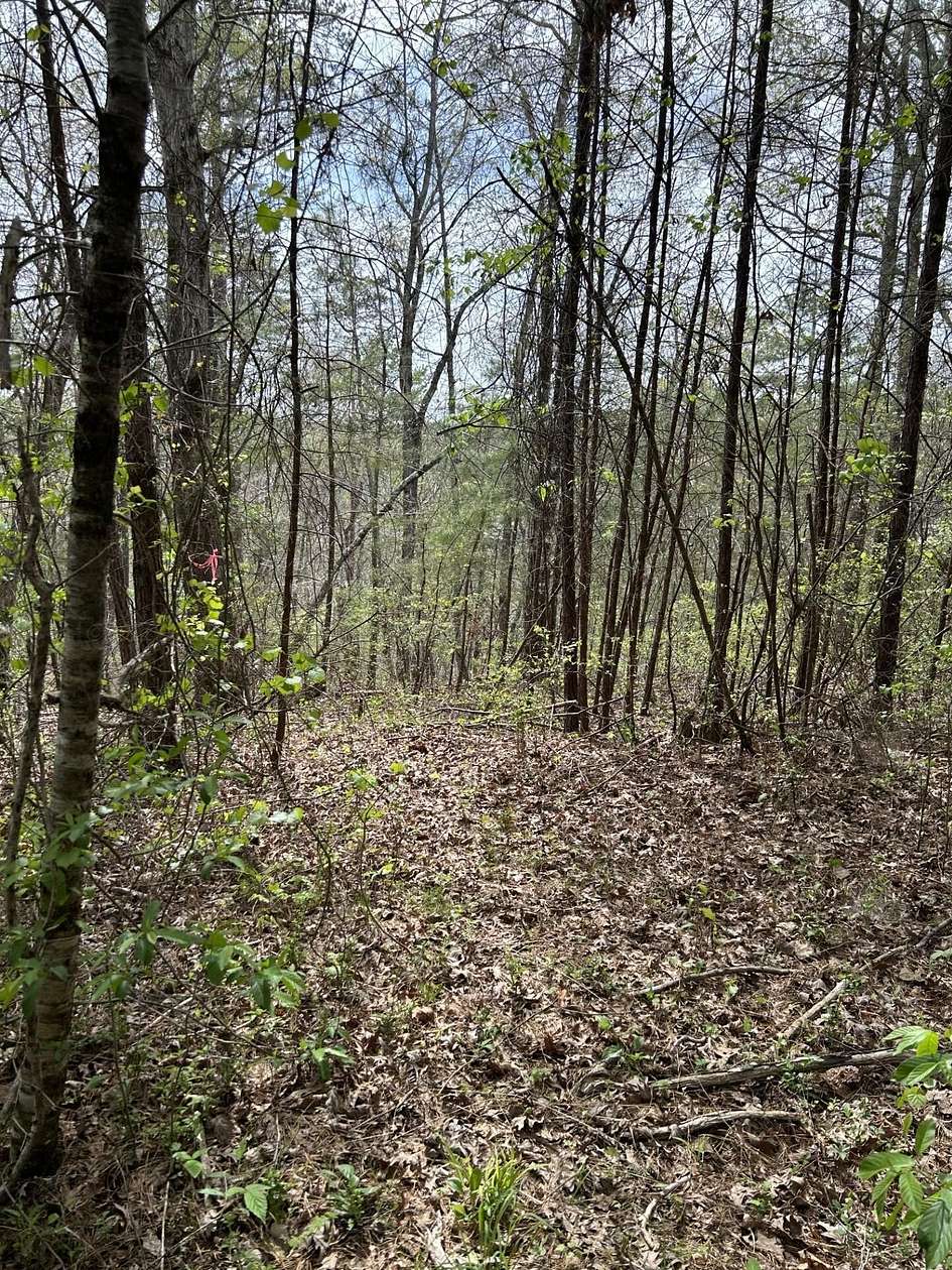 Residential Land for Sale in Houston, Alabama