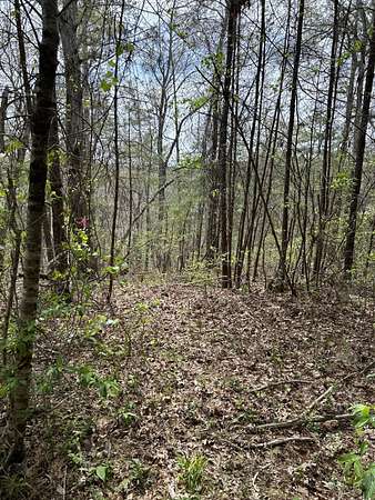 Residential Land for Sale in Houston, Alabama