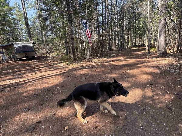 42 Acres of Recreational Land for Sale in Effingham, New Hampshire
