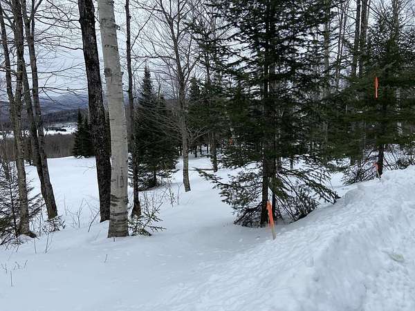 5.2 Acres of Residential Land for Sale in Warren, Vermont