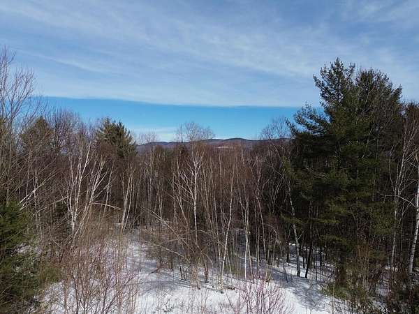 63.5 Acres of Land for Sale in Warren, Vermont