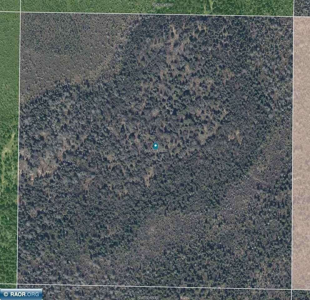 117 Acres of Recreational & Residential Land for Sale in Finland, Minnesota