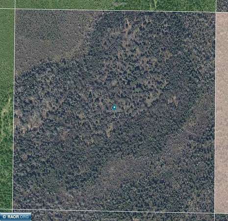 117 Acres of Recreational & Residential Land for Sale in Finland, Minnesota