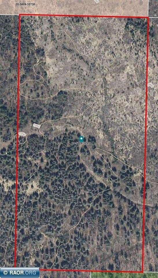 20 Acres of Recreational & Residential Land for Sale in Finland, Minnesota