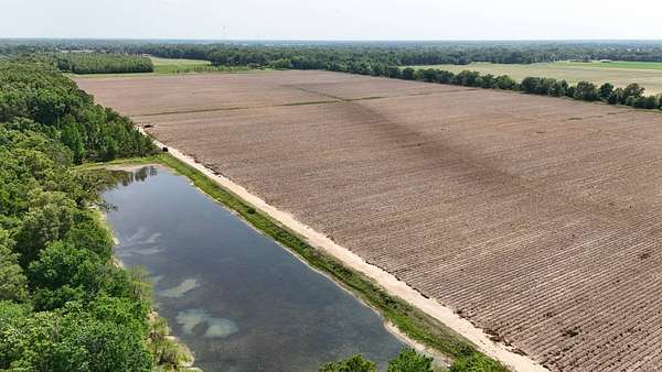 265 Acres of Land for Sale in Winnsboro, Louisiana