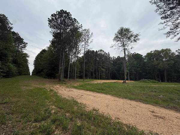 14.2 Acres of Land for Sale in El Dorado, Arkansas