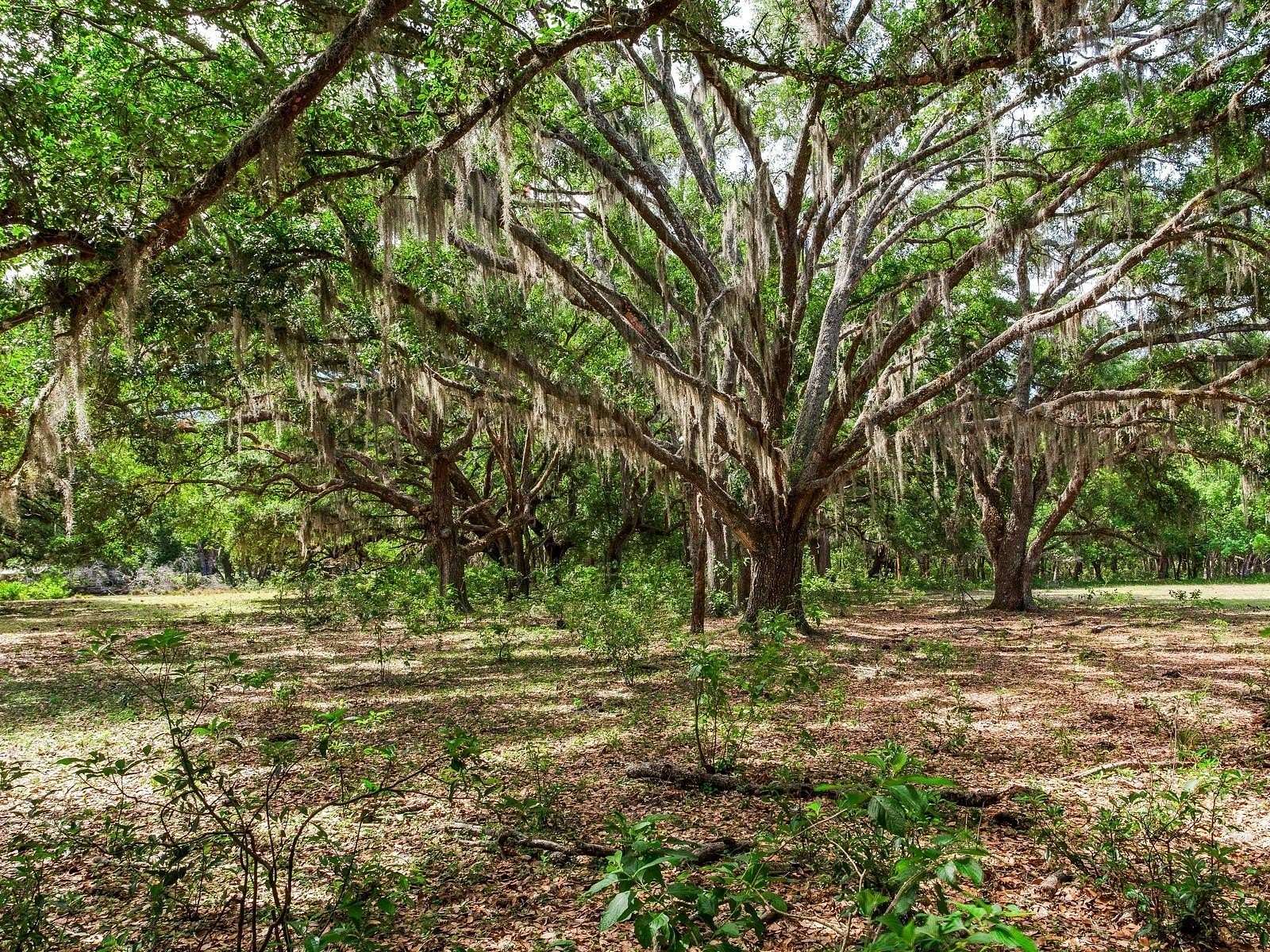 19 Acres of Improved Land for Sale in Thonotosassa, Florida