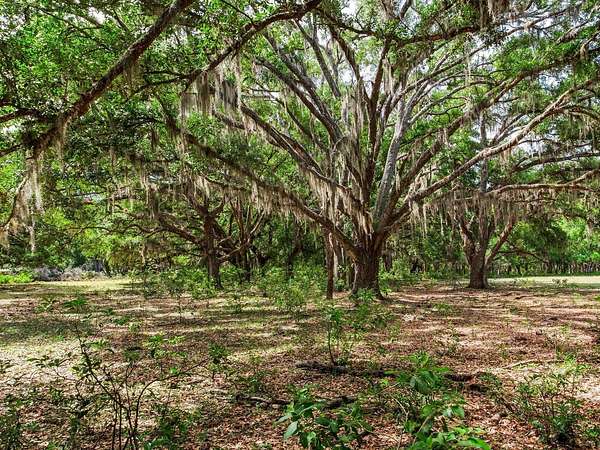 19 Acres of Improved Land for Sale in Thonotosassa, Florida
