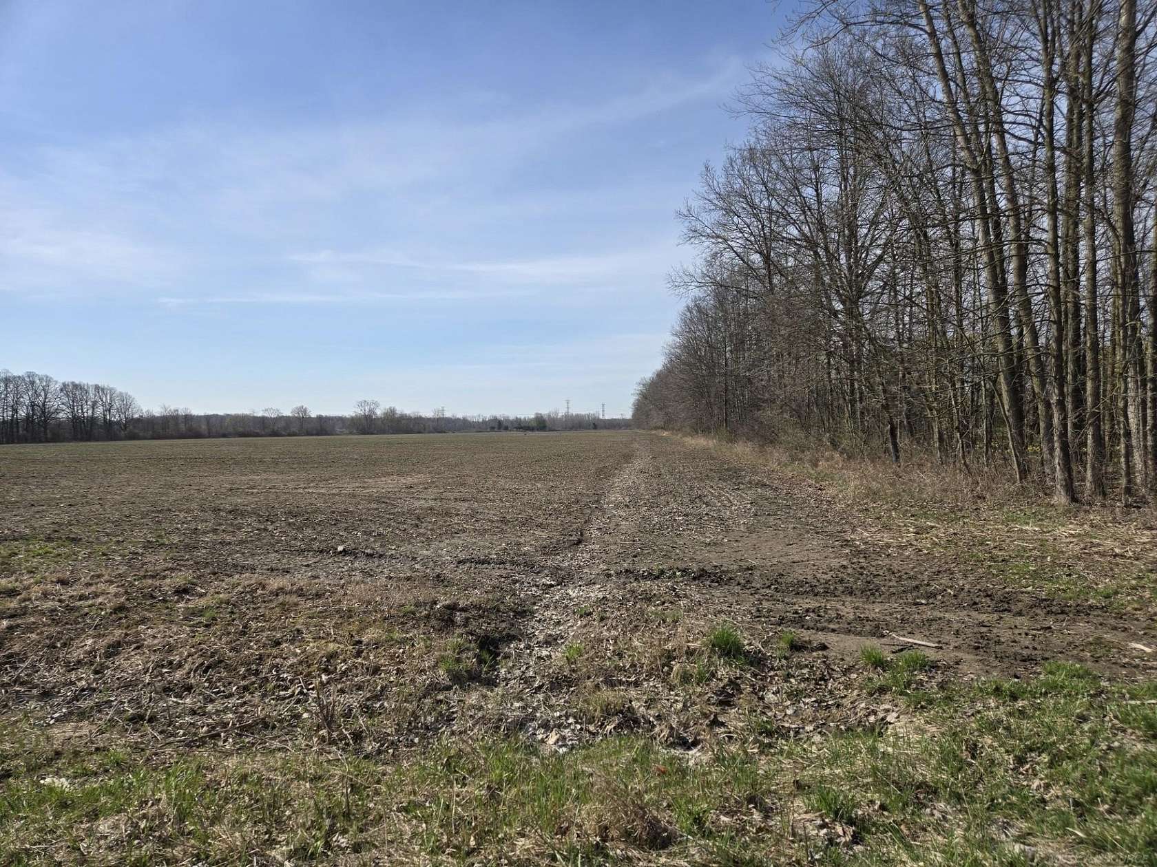 10 Acres of Land for Sale in Columbus, Michigan