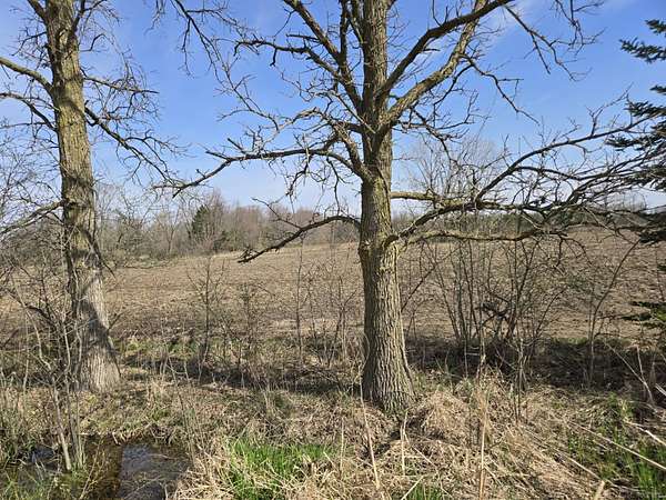 10 Acres of Land for Sale in Columbus, Michigan