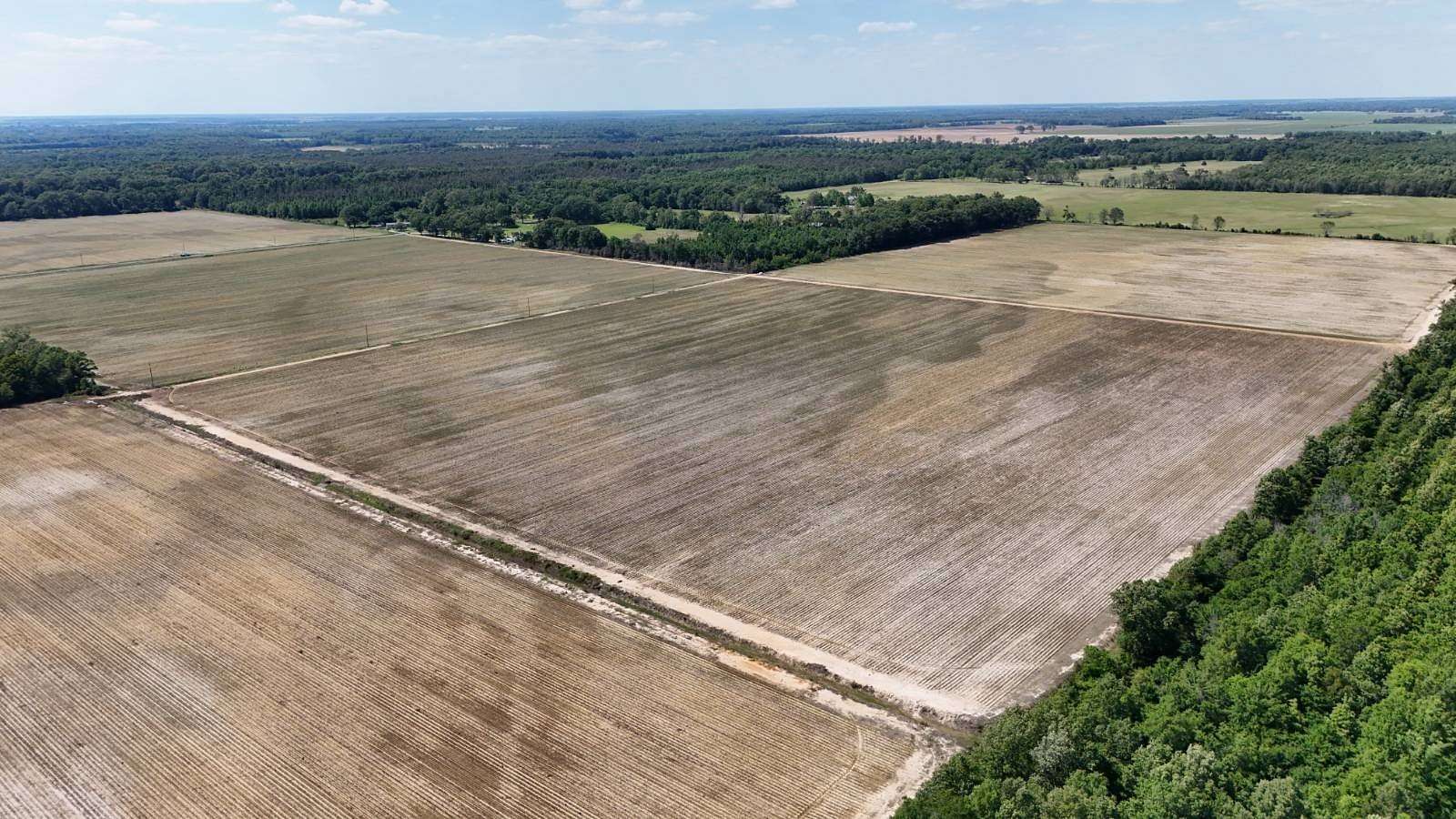 206 Acres of Agricultural Land for Sale in Oak Grove, Louisiana