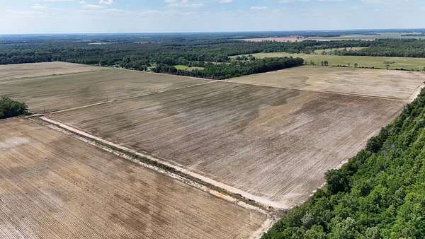 206 Acres of Agricultural Land for Sale in Oak Grove, Louisiana