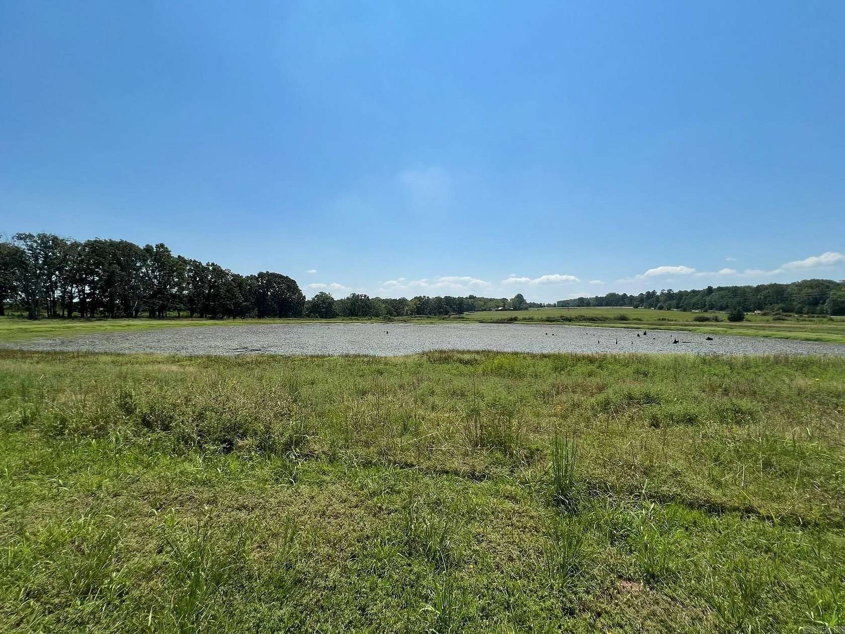 14 Acres of Land for Sale in Clinton, Arkansas