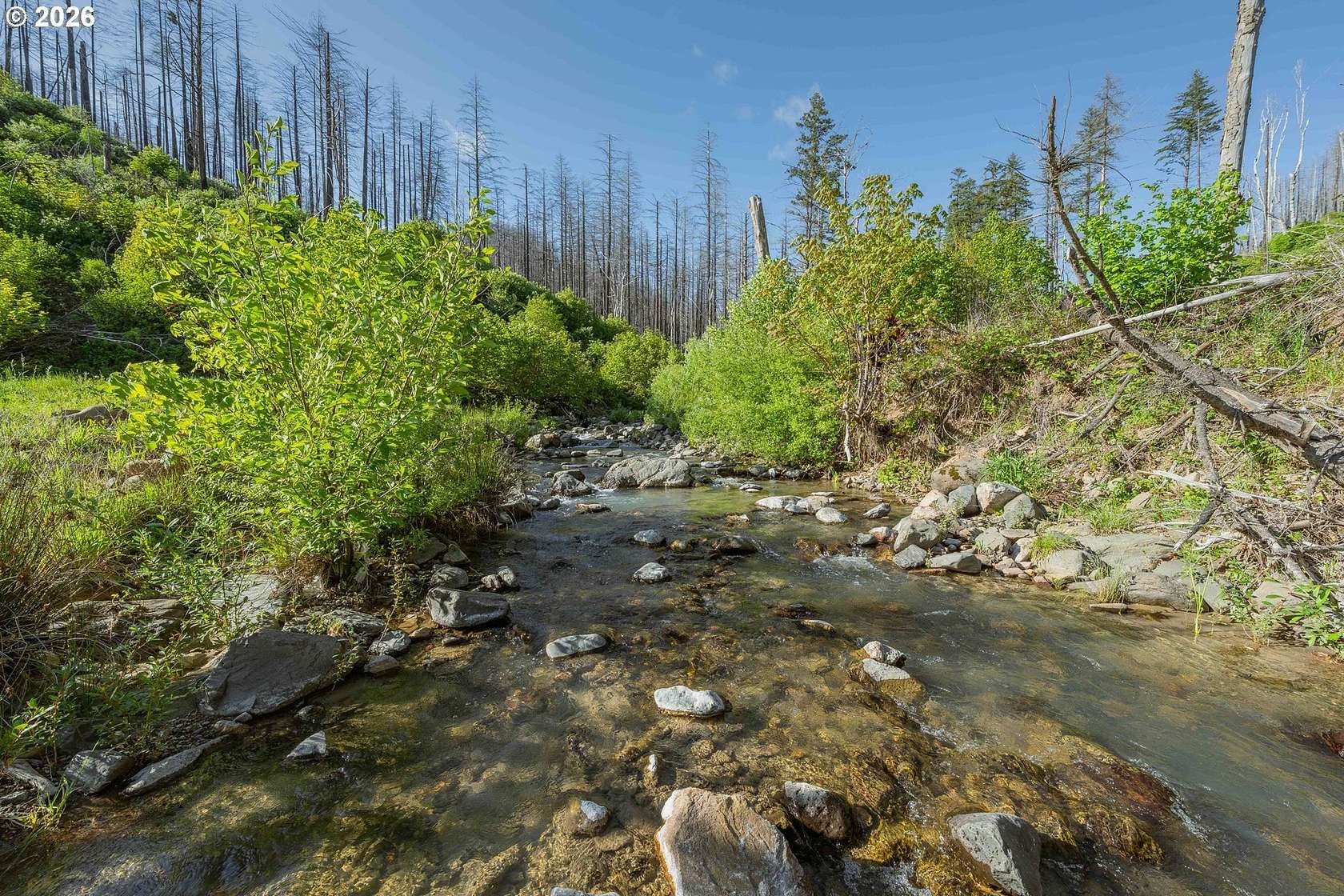 40 Acres of Recreational Land for Sale in Idleyld Park, Oregon