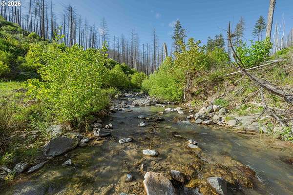 40 Acres of Recreational Land for Sale in Idleyld Park, Oregon