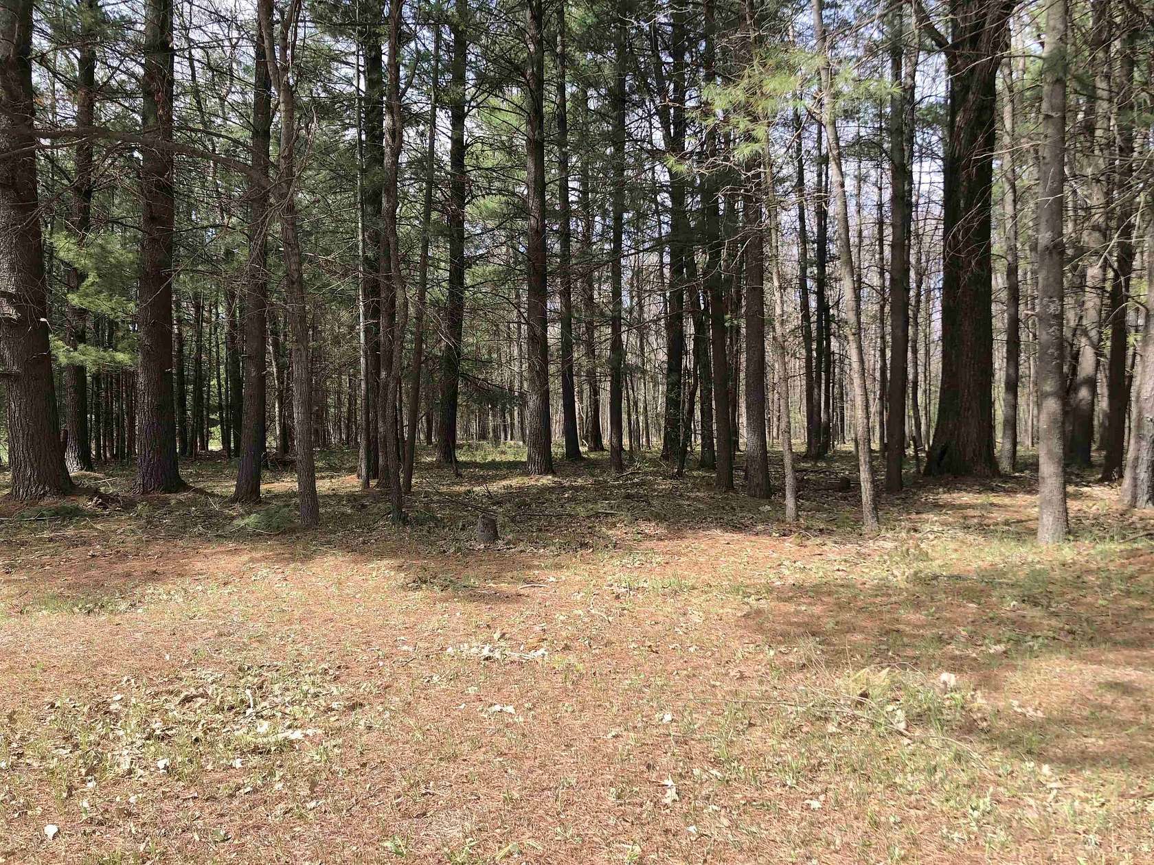 1 Acre of Land for Sale in Lake, Michigan