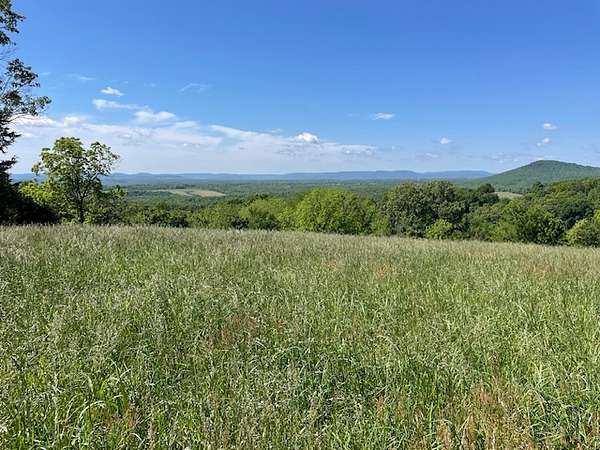 14.1 Acres of Land for Sale in St. Joe, Arkansas