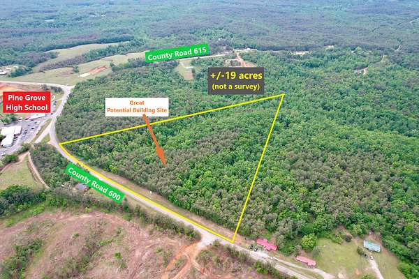 19 Acres of Land for Sale in Dumas, Mississippi