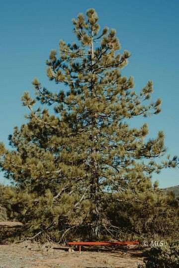 3 Acres of Residential Land for Sale in Alturas, California