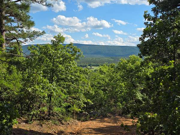 163 Acres of Land for Sale in Heavener, Oklahoma