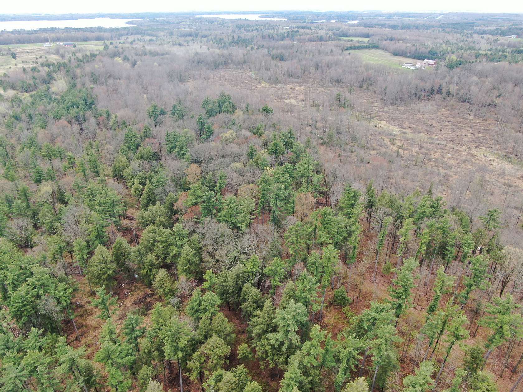 80 Acres of Land for Sale in Mosinee, Wisconsin