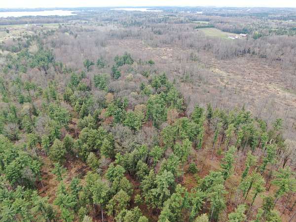 80 Acres of Land for Sale in Mosinee, Wisconsin