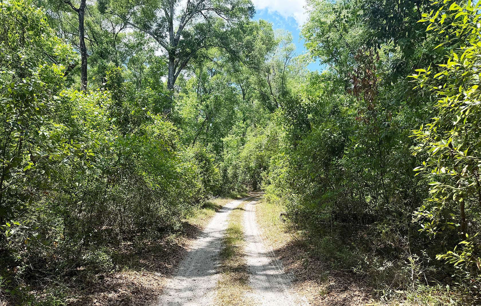 2.25 Acres of Residential Land for Sale in Branford, Florida