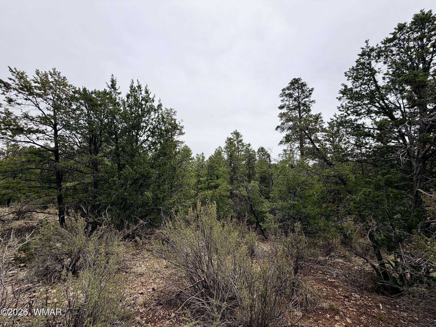 5 Acres of Residential Land for Sale in Happy Jack, Arizona
