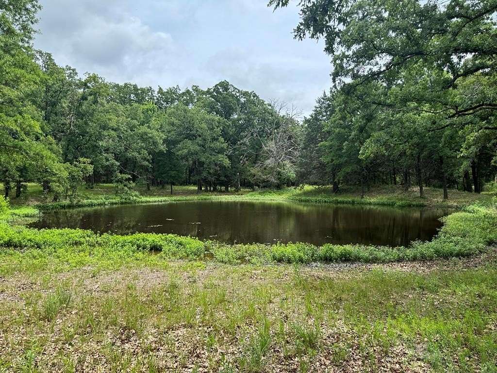 6.5 Acres of Residential Land for Sale in Kemp, Texas