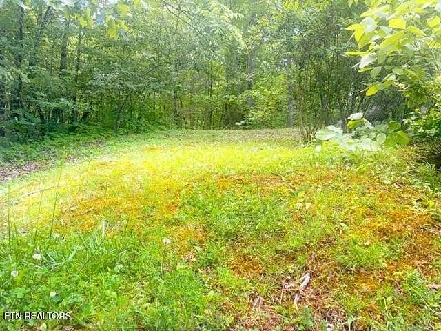 7 Acres of Residential Land for Sale in Sevierville, Tennessee