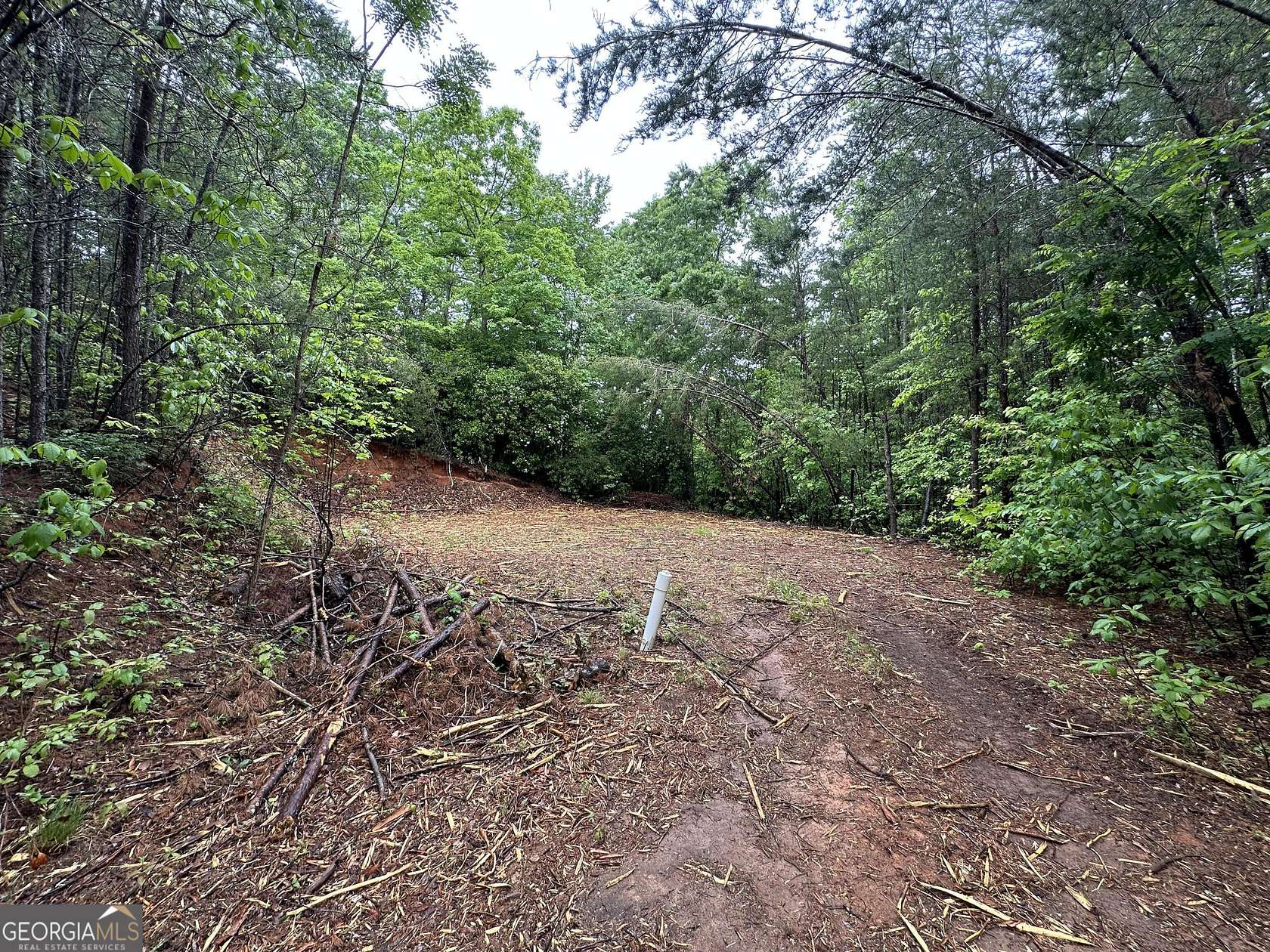0.59 Acres of Land for Sale in Clayton, Georgia