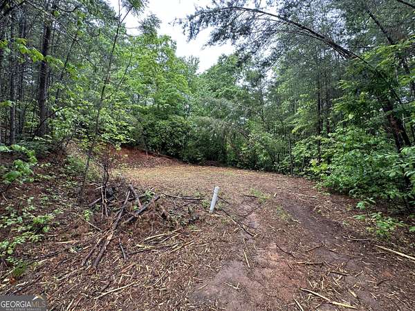 0.59 Acres of Land for Sale in Clayton, Georgia
