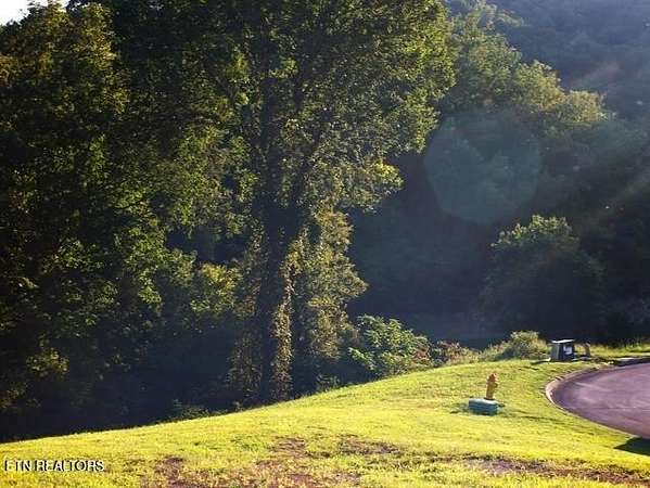 1.32 Acres of Residential Land for Sale in Russellville, Tennessee