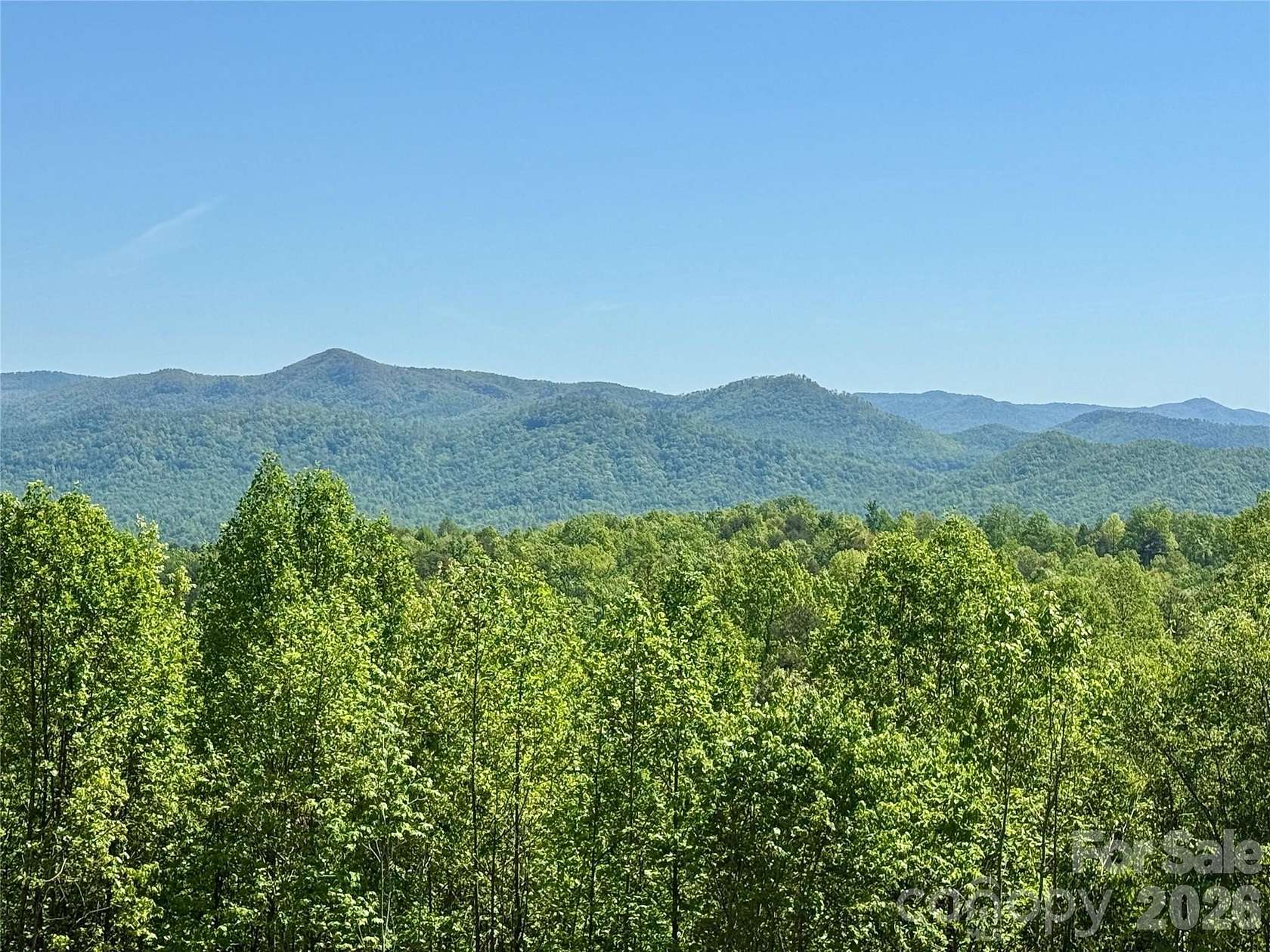 7.1 Acres of Residential Land for Sale in Nebo, North Carolina