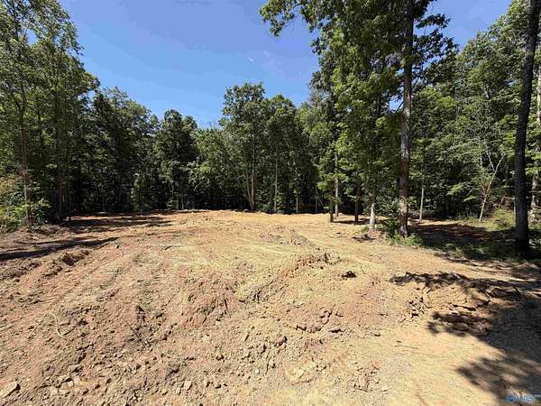 1.5 Acres of Residential Land for Sale in Arab, Alabama