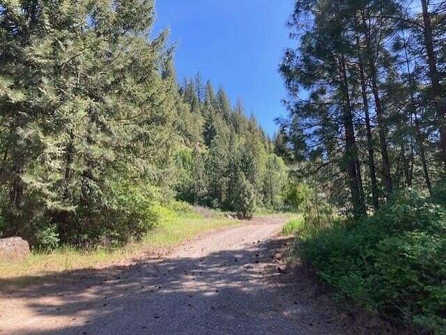 9.16 Acres of Residential Land for Sale in Kettle Falls, Washington