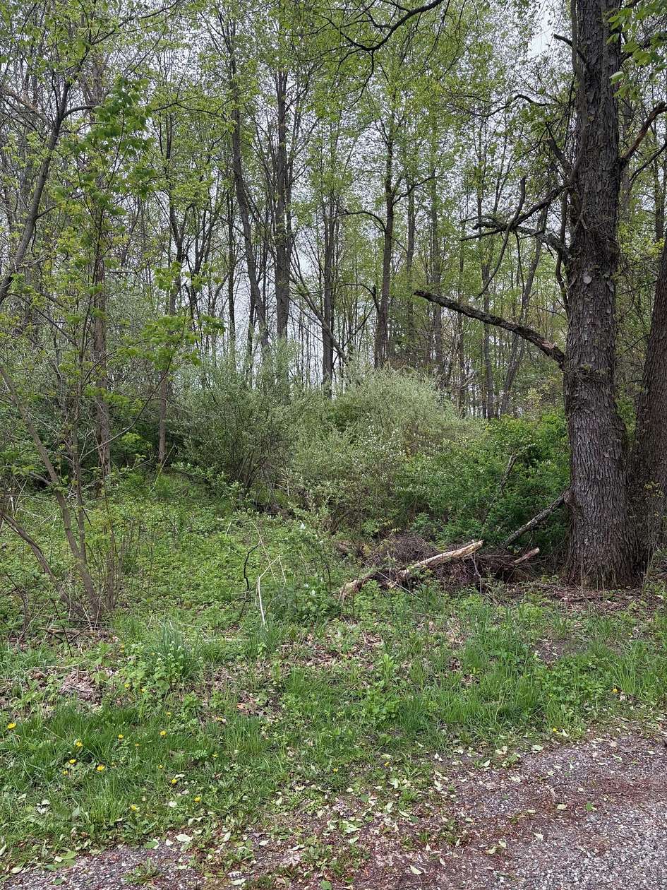 4 Acres of Residential Land for Sale in Hastings, Michigan