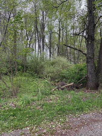 4 Acres of Residential Land for Sale in Hastings, Michigan