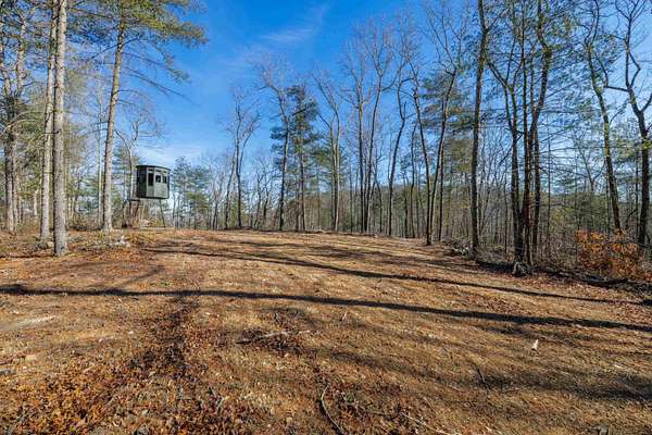 25 Acres of Land for Sale in Mount Solon, Virginia