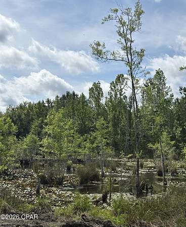 24.4 Acres of Recreational & Residential Land for Sale in Bonifay, Florida