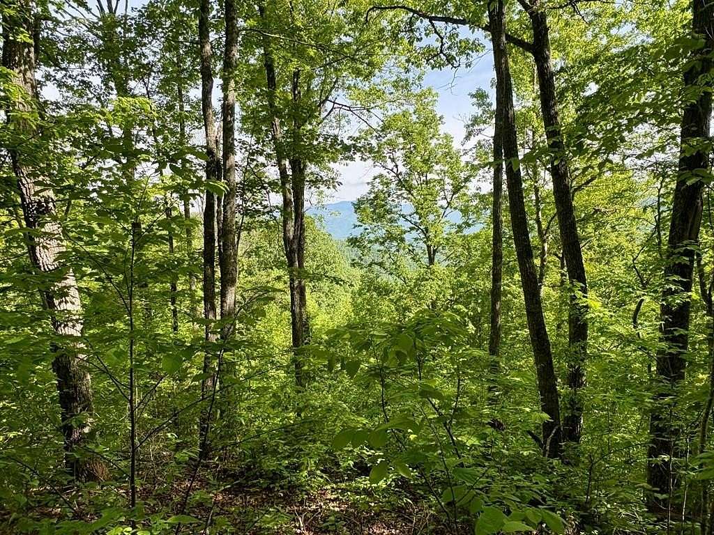33 Acres of Recreational & Residential Land for Sale in Bryson City, North Carolina