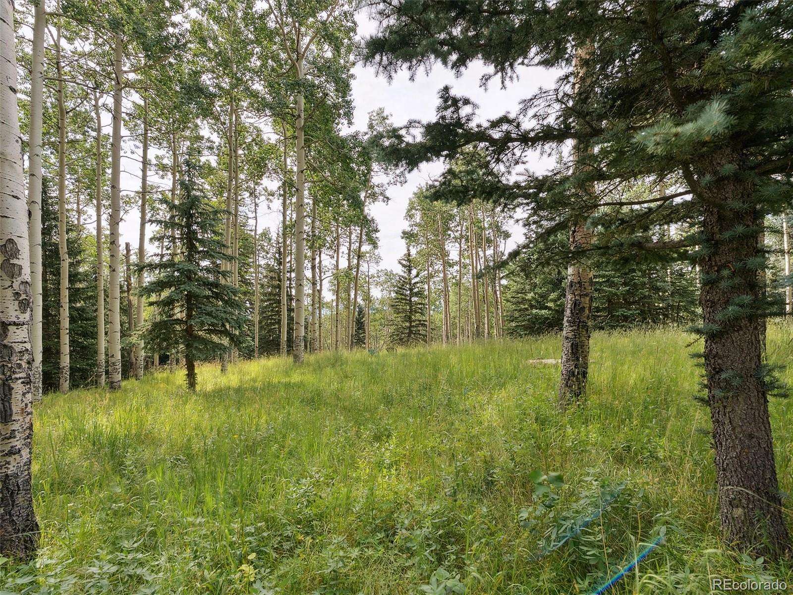 184 Acres of Recreational & Residential Land for Sale in Evergreen, Colorado