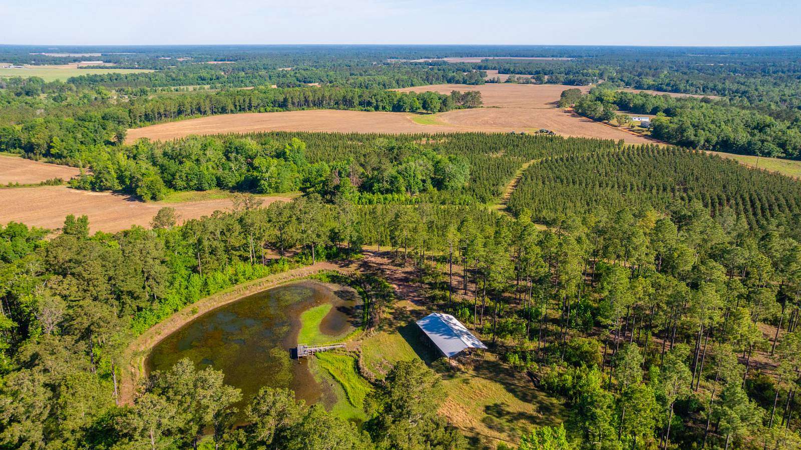 199 Acres of Land for Sale in Whigham, Georgia