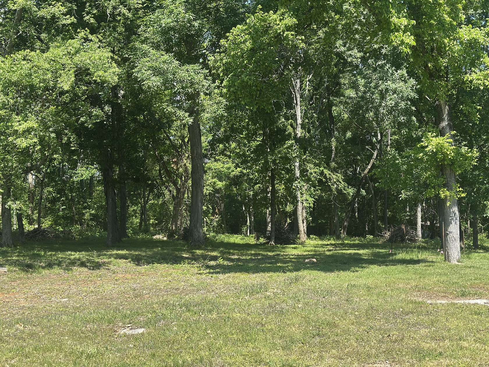 2 Acres of Residential Land for Sale in Franklin, Tennessee