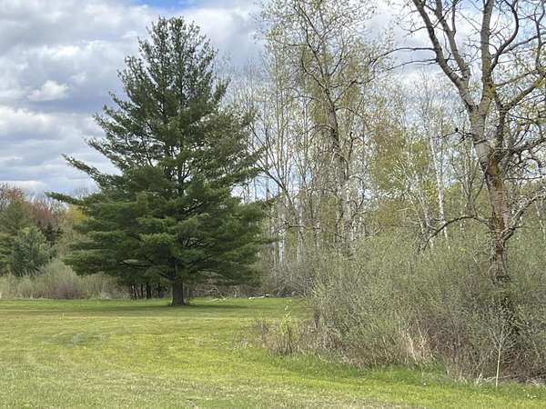 35 Acres of Land for Sale in Lakeview, Michigan