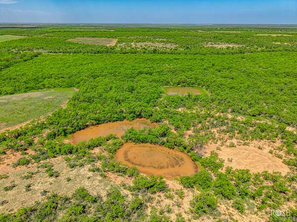 480 Acres of Agricultural Land for Lease in Doole, Texas