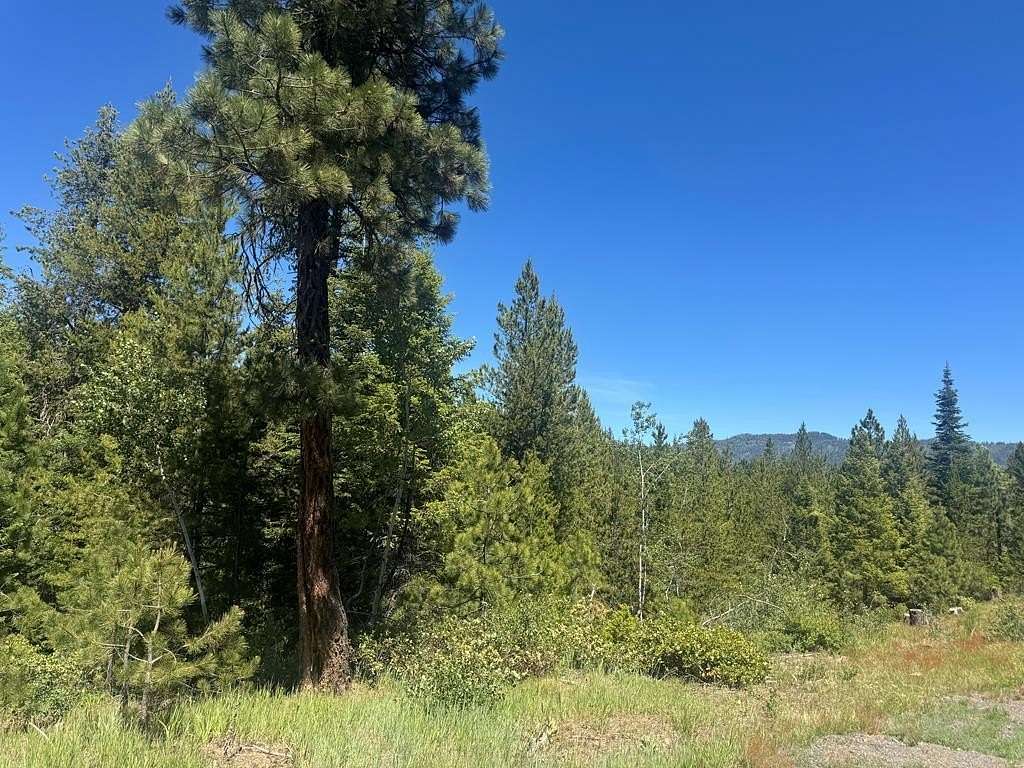 3.3 Acres of Land for Sale in Cascade, Idaho