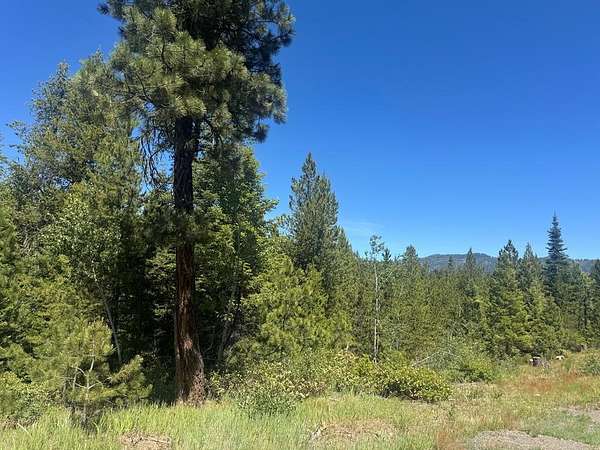 3.3 Acres of Land for Sale in Cascade, Idaho
