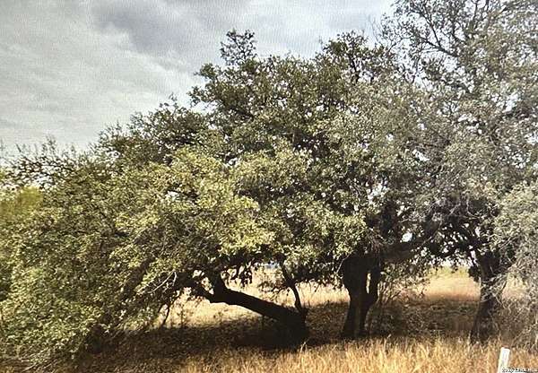 0.95 Acres of Residential Land for Sale in Castroville, Texas