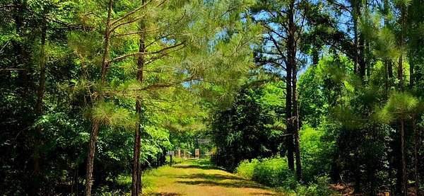 422 Acres of Recreational & Residential Land for Sale in Lovelady, Texas